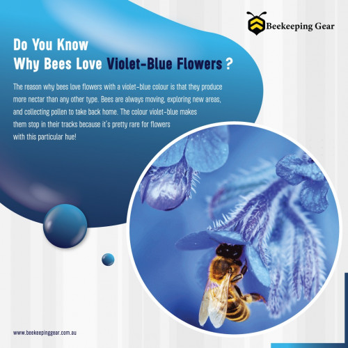 Bees are always moving, exploring new areas, and collecting pollen to take back home. The colour violet-blue makes them stop in their tracks because it's pretty rare for flowers with this particular hue!
.
Contact Us: 0492 50 60 70
Shop Now: https://www.beekeepinggear.com.au/pages/our-services
Address: Building A2 Factory Street, NSW 2142 (Opposite to Clyde station) Australia
.
#violateblueflowers #beesloveflowers #purpleflowers #beesloveflowers #applewoodpermaculturecentre