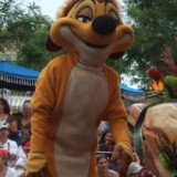 3---Timon