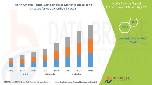 4.NorthAmericaTopicalCorticosteroidsMarket.jpg