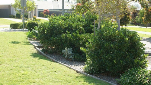 Make the best garden with our great lawn mowing Macleod services that are highly reasonable and under your budget. Visit us at Jim’s Mowing to find best rubbish removal, lawn cleaning and maintenance services.

https://jimsmowingmelbournenortheast.com.au/