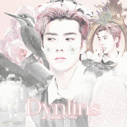 4thsehun_dynlins.gif