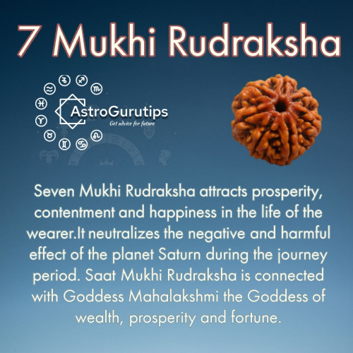 7-Mukhi-Rudraksha--7-Mukhi-Rudraksha-benefits.jpg