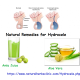 Aloe-Vera-and-Amla-Juice