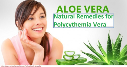 Aloe vera is a best-recognized the ingredient used in Natural Remedies for Polycythemia Vera.  It enhances the bone marrow and aid in blood movement. Along with it being a skin assist, it does well for your blood... http://millionairex3.ning.com/profiles/blogs/natural-remedies-for-polycythemia-vera