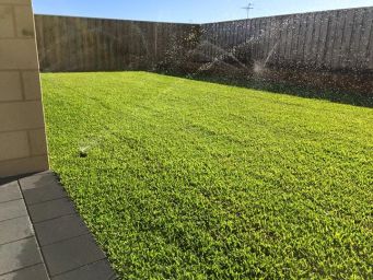 Artificial-Grass-Mandurah3009563783bb29ce.jpg