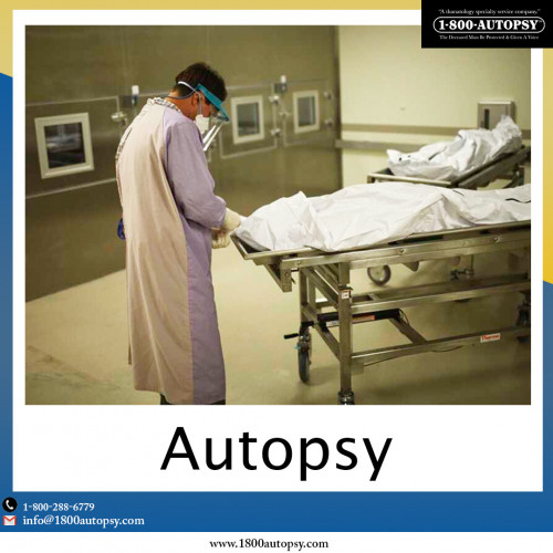 Autopsy-3.jpg