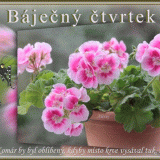 Bajecny-ctvrtek