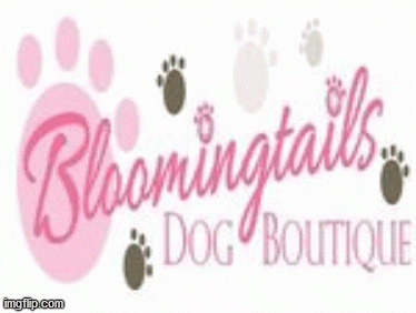 Shop online designer dog toys, chew toys, interactive dog toys,  dog soft toys, dog rope toys& much more for your pet from Bloomingtails Dog Boutique.We have toys for small dogs that help your pup play & enjoy each moment.  Visit our online store to buy toys for your best friend. https://www.bloomingtailsdogboutique.com/Toys