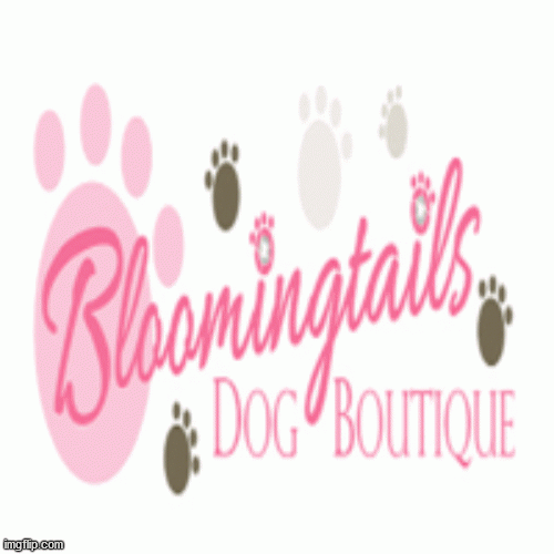 Best-Place-to-Buy-Dog-Grooming-Supplies-Clothes-Furniture.gif