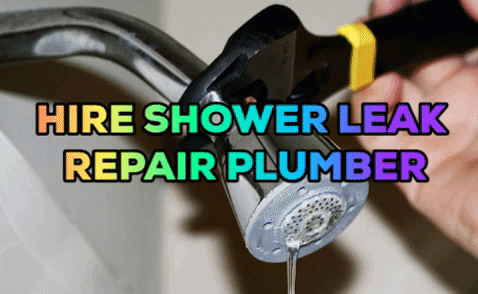 If you looking for the shower leak repair plumber so, here Handyman Solutions provide you the best service of the shower leakage repair. https://www.handymansolutions.us/minor-plumbing-services/repair-dripping-shower-faucet-bathtub/