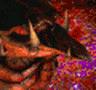 Broodling.gif
