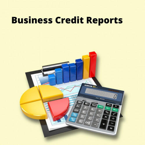 Business-Credit-Reports.jpg