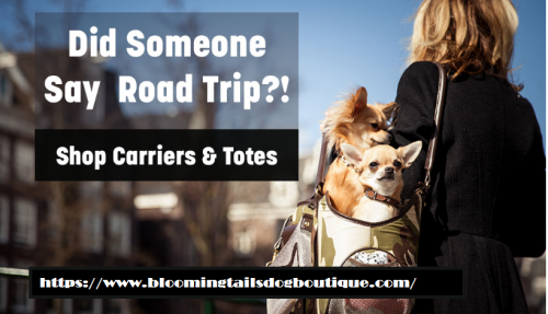 Carriers-for-Small-Dogs---Bloomingtails-Dog-Boutique.png