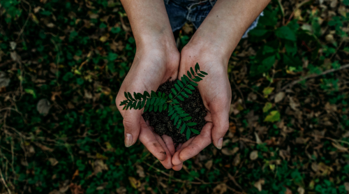 Composting is the process of turning food scraps into soil. Start composting  and you can evolve the quality of what you can grow and eat in your life. Read more now!
https://terraplanetearth.com/earth/composting-benefits-the-alchemy-of-composting/