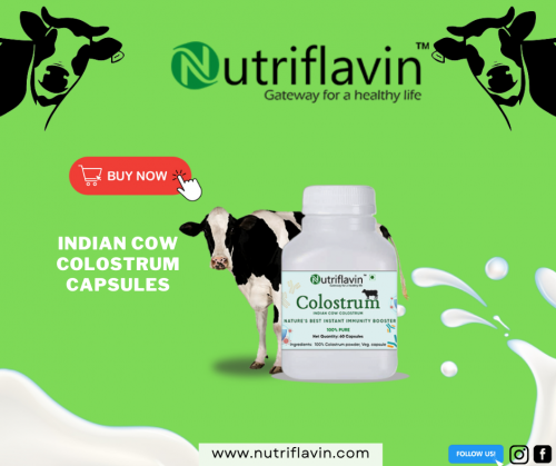 Cow-colostrum.png