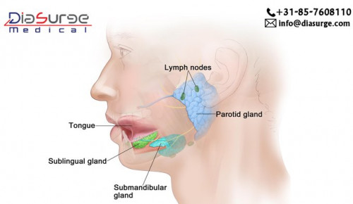 Submandibular Sialadenectomy is an endoscopic surgical procedure that is performed to remove the fibroid mass and gland cyst at the neck of the patient specifically below the mandible. This surgical procedure is performed with the help of endoscopic instruments. 
For more information about the manufacturing of endoscopic and laparoscopic medical equipment, visit http://diasurge.com