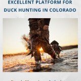 Excellent-Platform-for-Duck-Hunting-in-Colorado