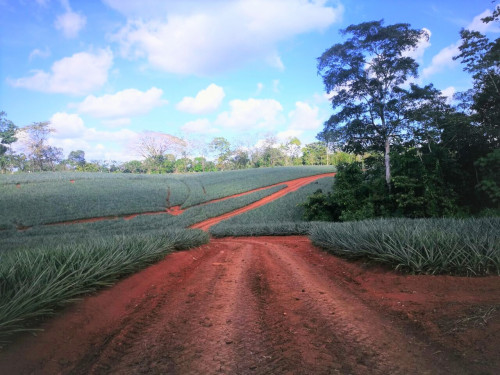 Farm-entrance.jpg