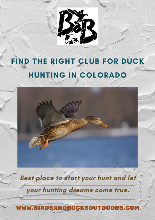 Finding the right club for Duck Hunting in Colorado can give you astounding highlights. Birds and Bucks Outdoors will give you great chasing opportunities. Visit now and have a fruitful Colorado Duck Hunting.

https://www.birdsandbucksoutdoors.com/colorado-duck-hunting-club/