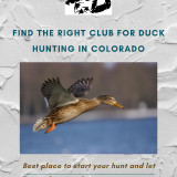 Find-the-right-club-for-Duck-Hunting-in-Colorado
