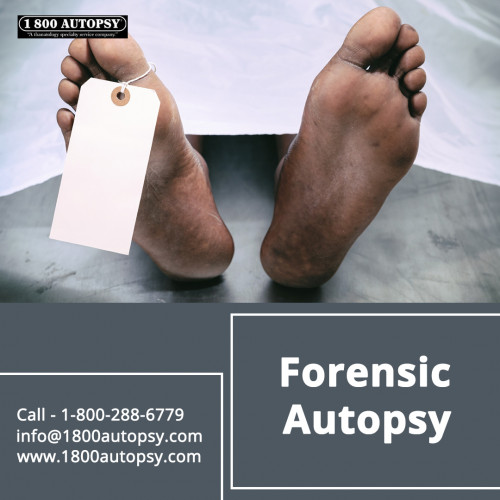 Forensic-Autopsy.jpg