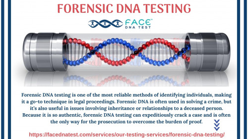 Forensic-DNA-testing.jpg