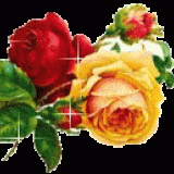 GIALLO-ROSSO-branche-roses