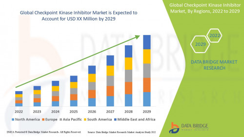 Global-Checkpoint-Kinase-Inhibitor-Market96677aaa76b422dd.jpg