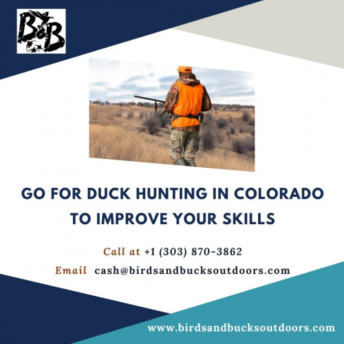 If you want to become a successful duck hunter, getting the right boat for Duck Hunting in Colorado is essential to being successful. Enjoy the Colorado Duck Hunting & improve your duck hunting skills today!

https://www.birdsandbucksoutdoors.com/colorado-duck-hunting-club/