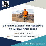 Go-for-Duck-Hunting-in-Colorado-to-Improve-Your-Skills