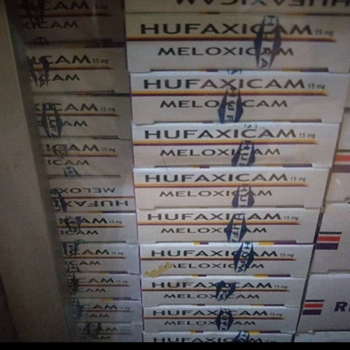 HUFAXICAM.jpg