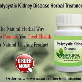 Herbal-Treatment-for-Polycystic-Kidney-Diseases