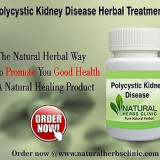 Herbal-Treatment-for-Polycystic-Kidney-Diseases6456d8c0be089777