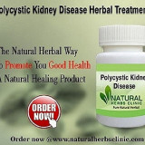 Herbal-Treatment-for-Polycystic-Kidney-Diseasesb4bd4d7398a39d03