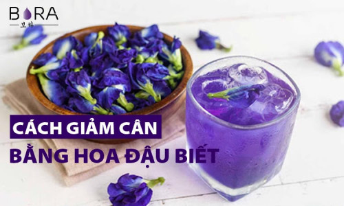 Hoa-dau-biec-giam-can-hinh1.jpg