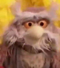 Hoots-the-Owl.jpg