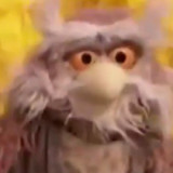 Hoots-the-Owl