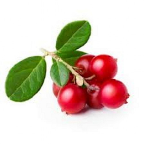 Uva ursi or bearberry is very useful in Natural Remedies for Polycystic Kidney Disease. It is helpful in treating continual urinary infections seen in individuals with PKD by virtue of its anti-bacterial properties. Ten grams of the leaf of bearberry is used each day.... https://naturalherbsclinic.sitelio.me/herbal-products/natural-remedies-for-polycystic-kidney-disease