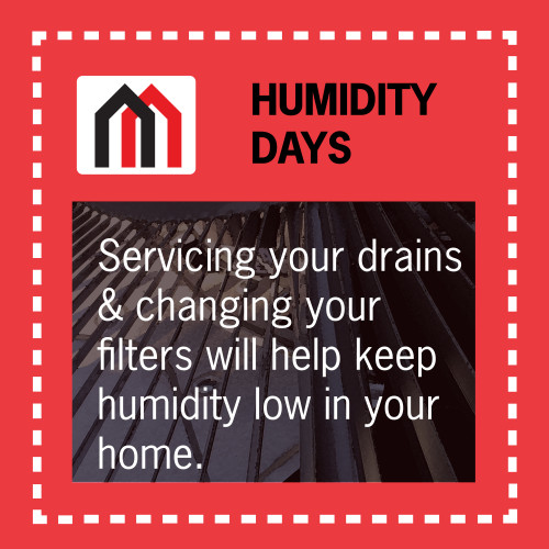 Servicing your drains & changing your filters will help keep humidity low in your home.
