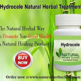 Hydrocele-Herbal-Treatments7d91eaa1bcdaac1d