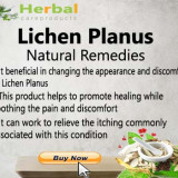 Lichen-Planus