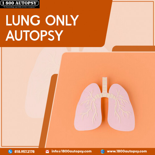 A Lung-Only Autopsy is the only option to find a Postmortem Mesothelioma Diagnosis, whether loved ones desire more information about the cause of death or are considering legal action. For decades, the legal community has sought out our extensive postmortem services. We are here to assist you. Please do not hesitate to contact us at any time.
https://www.1800autopsy.com/services/