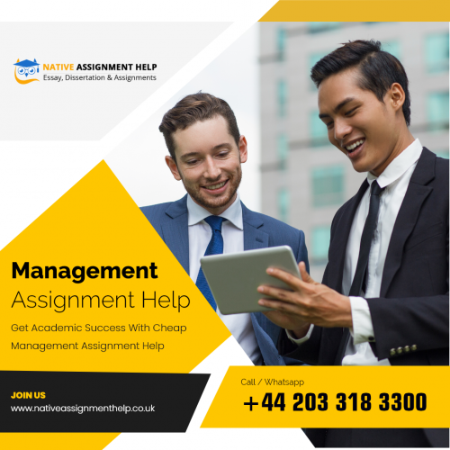 Management-Assignment-Help.png