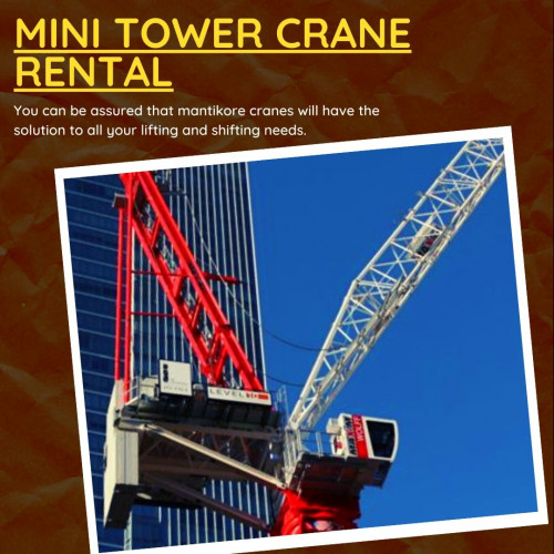 Mini-Tower-Crane-Rental-1.jpg