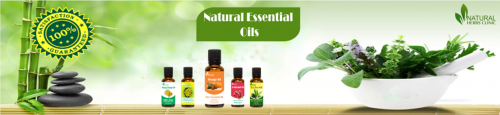 Numerous essential oils are used in Natural Remedies for Achalasia. These oils are identified to aid with dysphagia, complexity in swallowing, and other symptoms of achalasia... https://achalasiasymptoms.kinja.com/achalasia-explanation-and-its-management-procedure-1723557774?rev=1594101964966