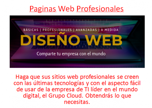 Paginas-Web-Profesionales-1.png