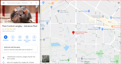 Pest-Control-Langley.png