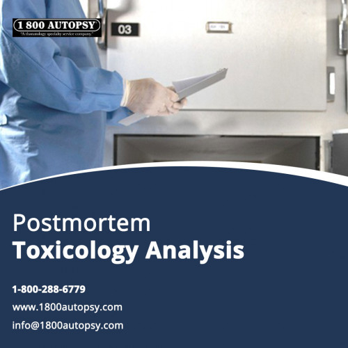 Postmortem-Toxicology-Analysis.jpg