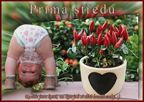 Prima středu