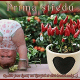 Prima-stredu